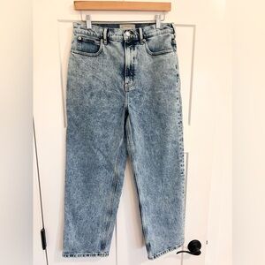 Everlane The Way-High Jean Straight Leg High Rise Denim